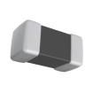 L0201C2N4SRMST  Passive Components
