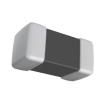 L0806C100KPWST  Passive Components