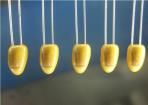 T350B106M006AS  Passive Components