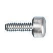 2412 Screws & Fasteners
