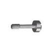 2420 Screws & Fasteners