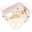 APED3528SYCK-F01  Optoelectronics