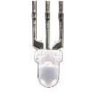 WP115VEGW Optoelectronics