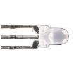 WP115VEGW Standard LEDs - Through Hole