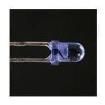 WP3DP3BT Phototransistors