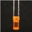 WP424EDT Optoelectronics