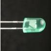 WP5603ZGDL/SD/G Standard LEDs - Through Hole