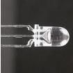 WP59EGC Standard LEDs - Through Hole