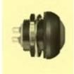 DPW 1 CG-G Pushbutton Switches