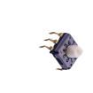 DRS14010 Coded Rotary Switches