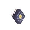 SMR5016 Coded Rotary Switches