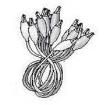 13AC010 Test Leads