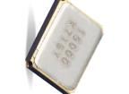 CX2016SA24000D0FPLG1 Crystals