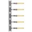 CPM10 Terminals