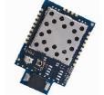 RM024-S10-C-20 Sub-GHz Modules