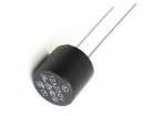 SRT1630A Fuses with Leads - Through Hole