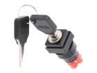 LAS1F-11Y/2 Keylock Switches