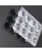 C12528_PETUNIA LED Lighting Lenses