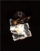 CA12087_STRADA-FW  Optoelectronics