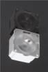 CA13639_G2-LAURA-SS-WAS-P  Optoelectronics