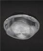 F14627_STELLA-FRESNEL  Optoelectronics