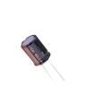 RXQ101M2CBK-1620 Aluminium Electrolytic Capacitors - Radial Leaded