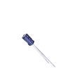 SG-100M1VBK-0407 Aluminium Electrolytic Capacitors - Radial Leaded