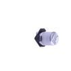 VES100M1ETR-0405 Aluminium Electrolytic Capacitors - SMD