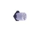 VZH331M0JTR-0607 Aluminium Electrolytic Capacitors - SMD