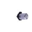 VZH470M0JTR-0406 Aluminium Electrolytic Capacitors - SMD