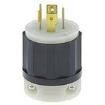 2411 electronic component of Leviton