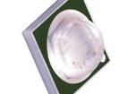 HL-C3535K4B3EA-ZW Standard LEDs - SMD