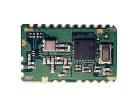 TRM-868-DP1203  Embedded Solutions