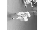 01110506Z Fuse Clips