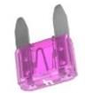 0297003.WXT  Circuit Protection