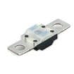 0498060.MXT electronic component of Littelfuse