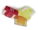 0891020.NXWS  Circuit Protection