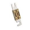 0CNN100E.V Automotive Fuses