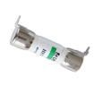 0HEV030.ZXPCBL Automotive Fuses