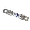0HEV015.ZXBD Automotive Fuses