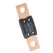 0298100.TXN Automotive Fuses