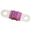 153.5631.5402 electronic component of Littelfuse