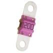 153.5631.6101 Automotive Fuses