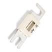 157.5917.6231 Specialty Fuses