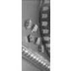 203001 Fuses with Leads - Through Hole