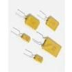 30R160 Resettable Fuses - PPTC