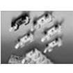 354612GY  Circuit Protection