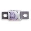 L15S300.T Specialty Fuses