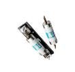 SPFR300.X  Circuit Protection