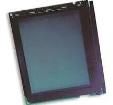 LMR4755BG240G320WCF Unclassified